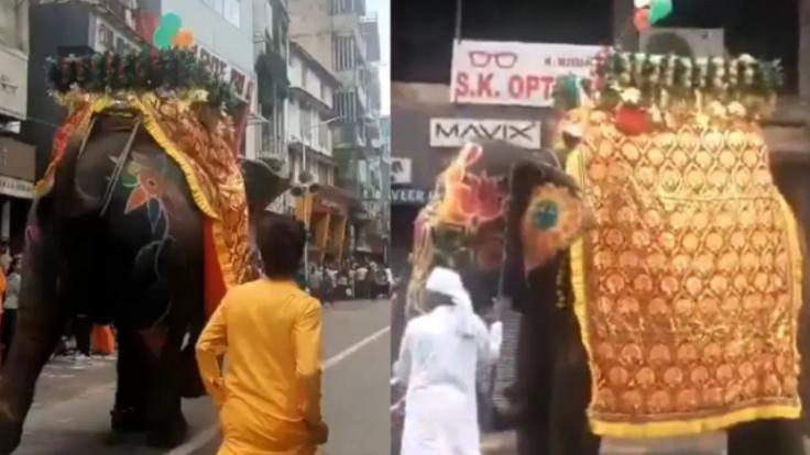 अहमदाबाद रथयात्रा में शामिल 3 हाथी हुए बेकाबू, मची भगदड़, दो श्रद्धालु घायल